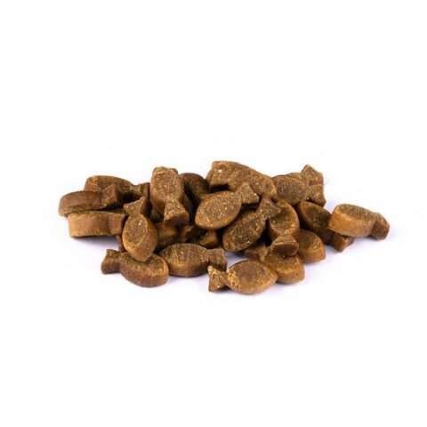 Christopherus - Natur-Im-Biss Forelle + Insekt 125g