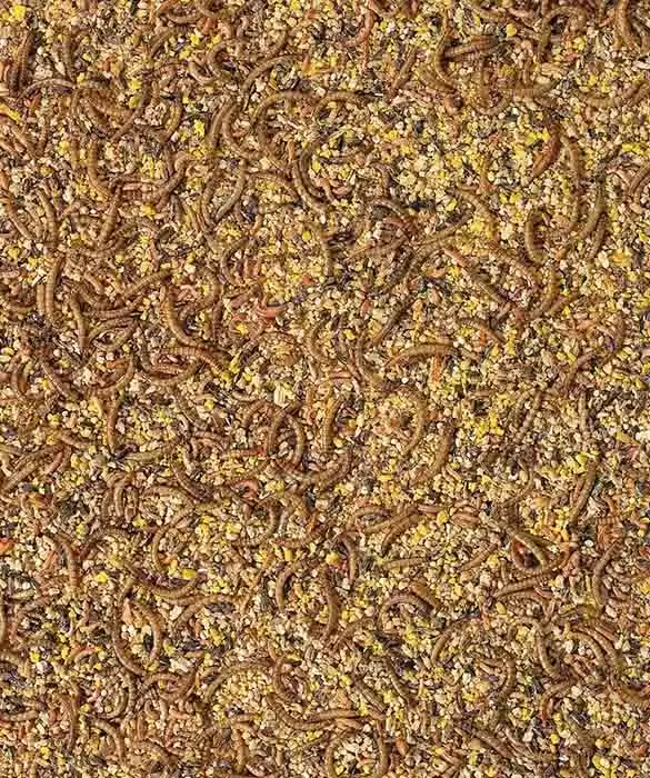 Orlux Aufzuchtfutter Fasane und Wachteln